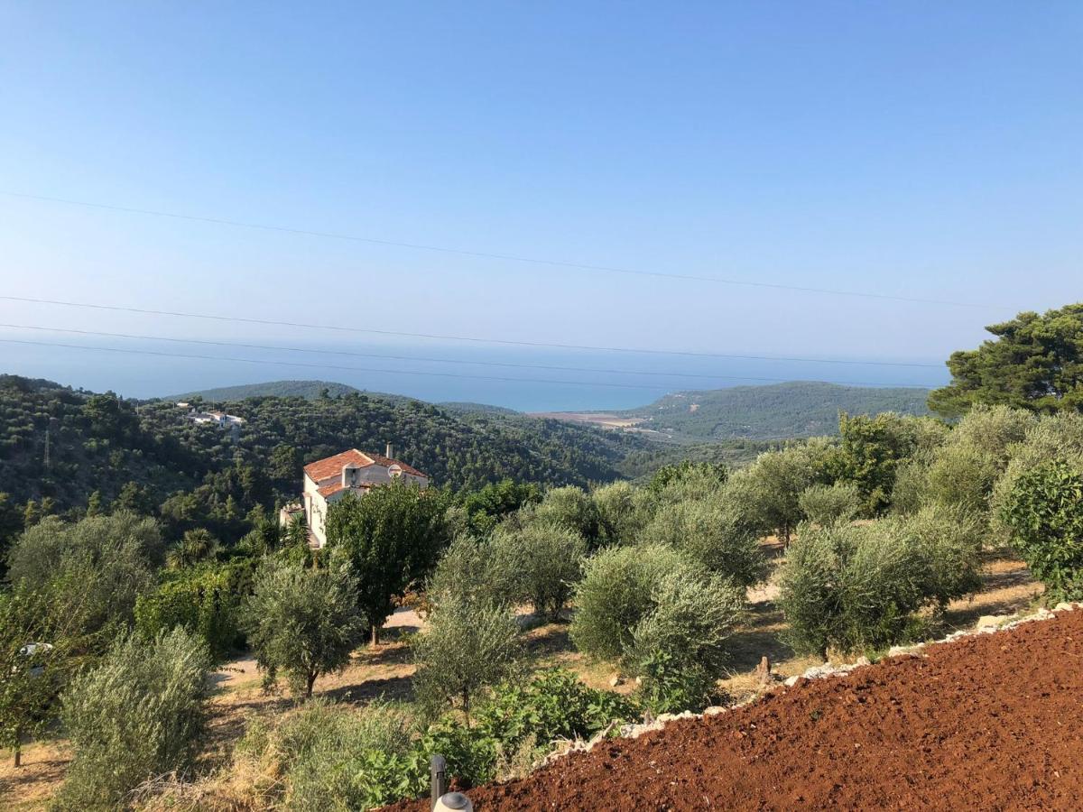 Verde Matematico Vico Del Gargano Eksteriør bilde