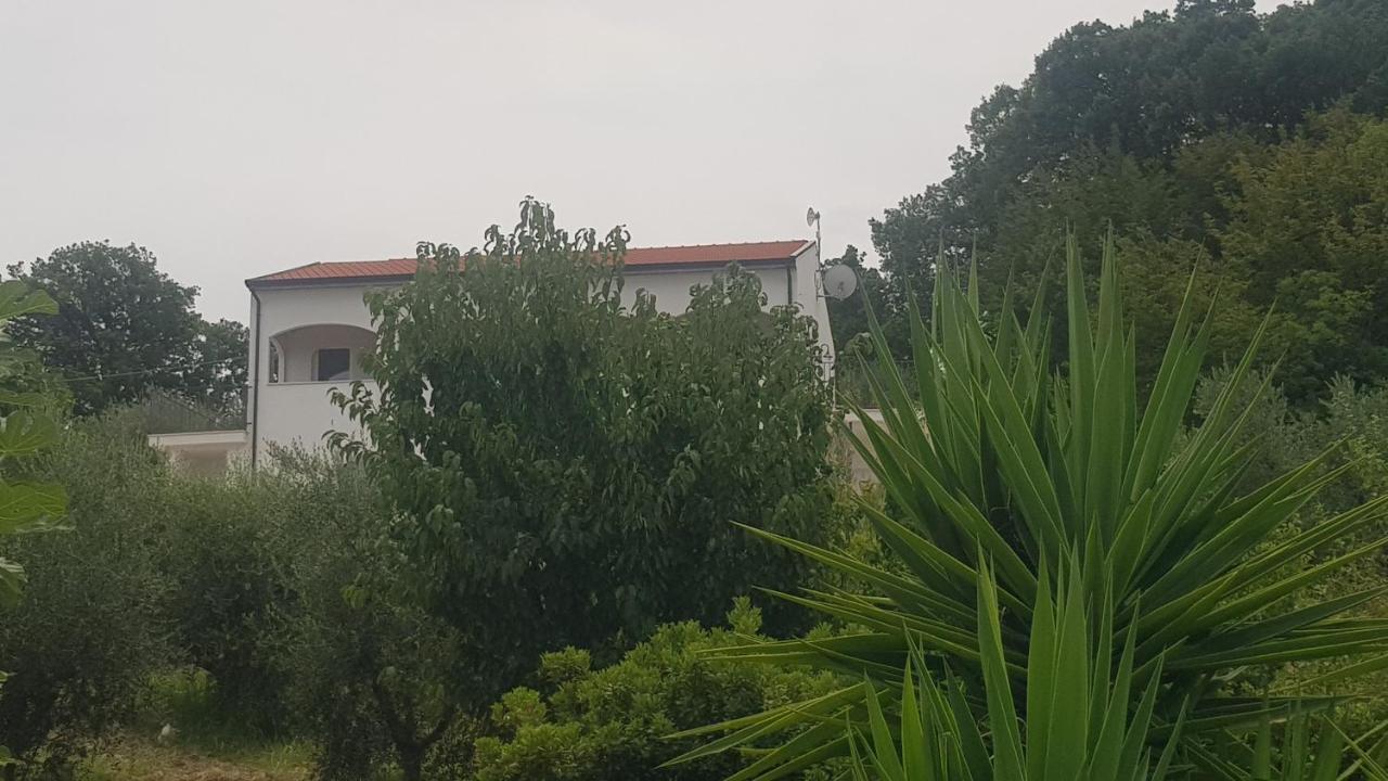Verde Matematico Vico Del Gargano Eksteriør bilde